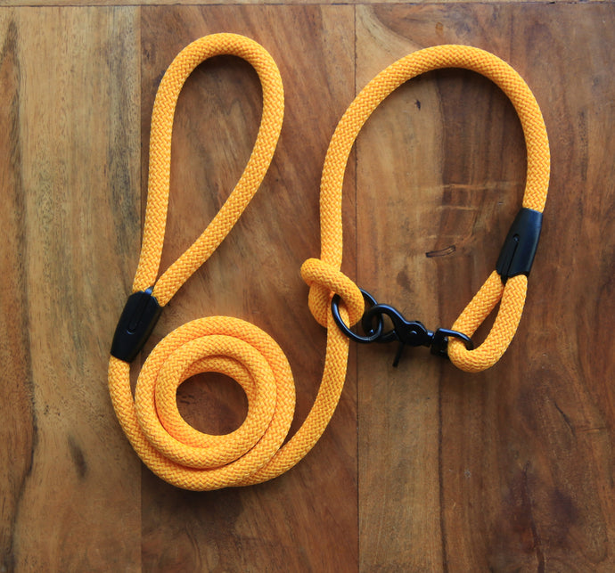 Yellow Leash