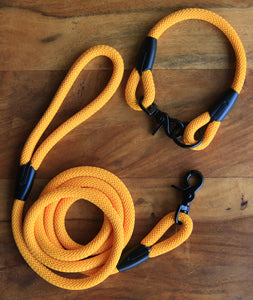 Yellow Leash