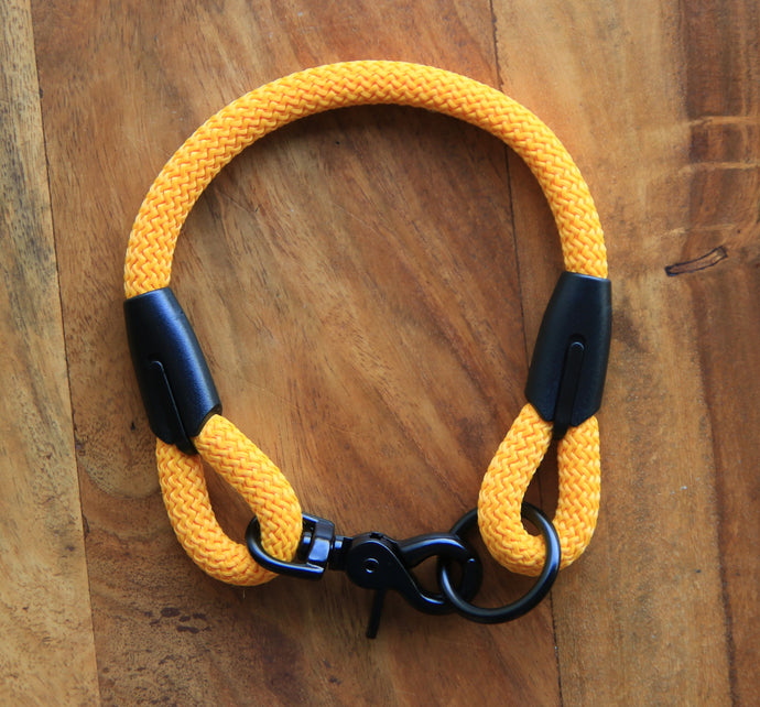 Dark yellow collar