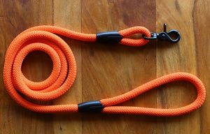 Orange Leash