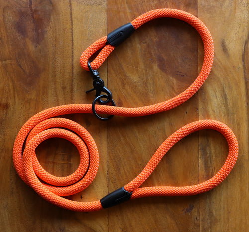 Orange Leash