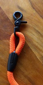 Orange Leash