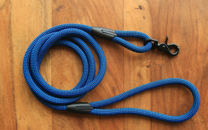 Checkered Blue Leash