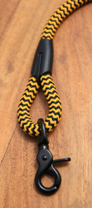 Black & yellow collar