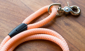 Peach leash