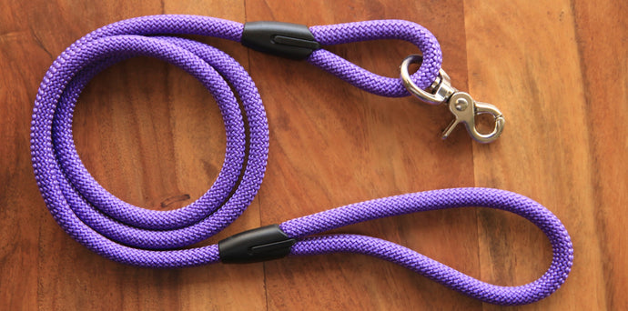 Dark purple leash