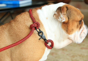 Chevron Black & red leash